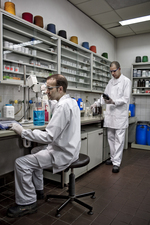 Farmacie & R&D Farmacie & R&D